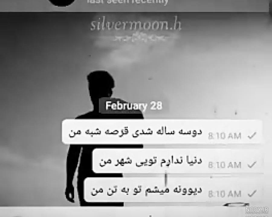 بیوگرافی بهزاد لیتو