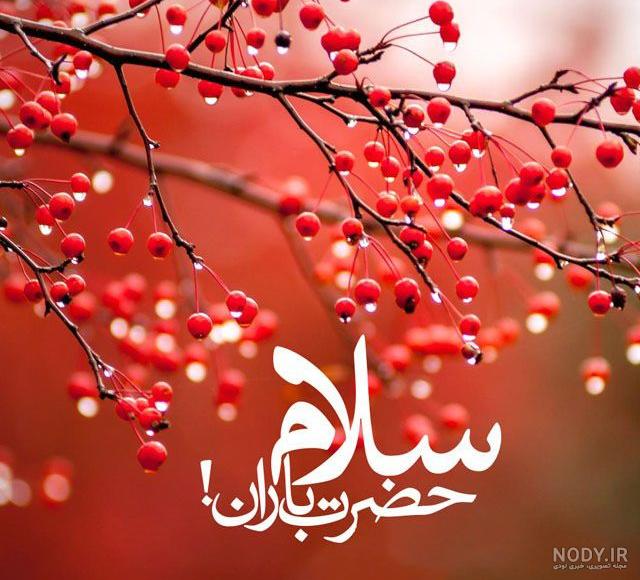 تولد دخترم باران