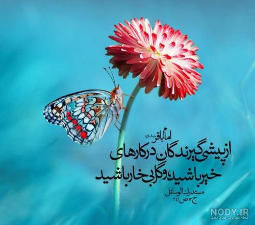 حدیث تصویری از امام باقر