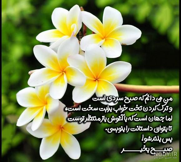 صبح بخیر انگیزشی تابستانی