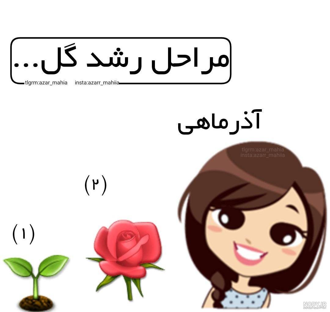 عکس تولد خواهر بهمن ماهی