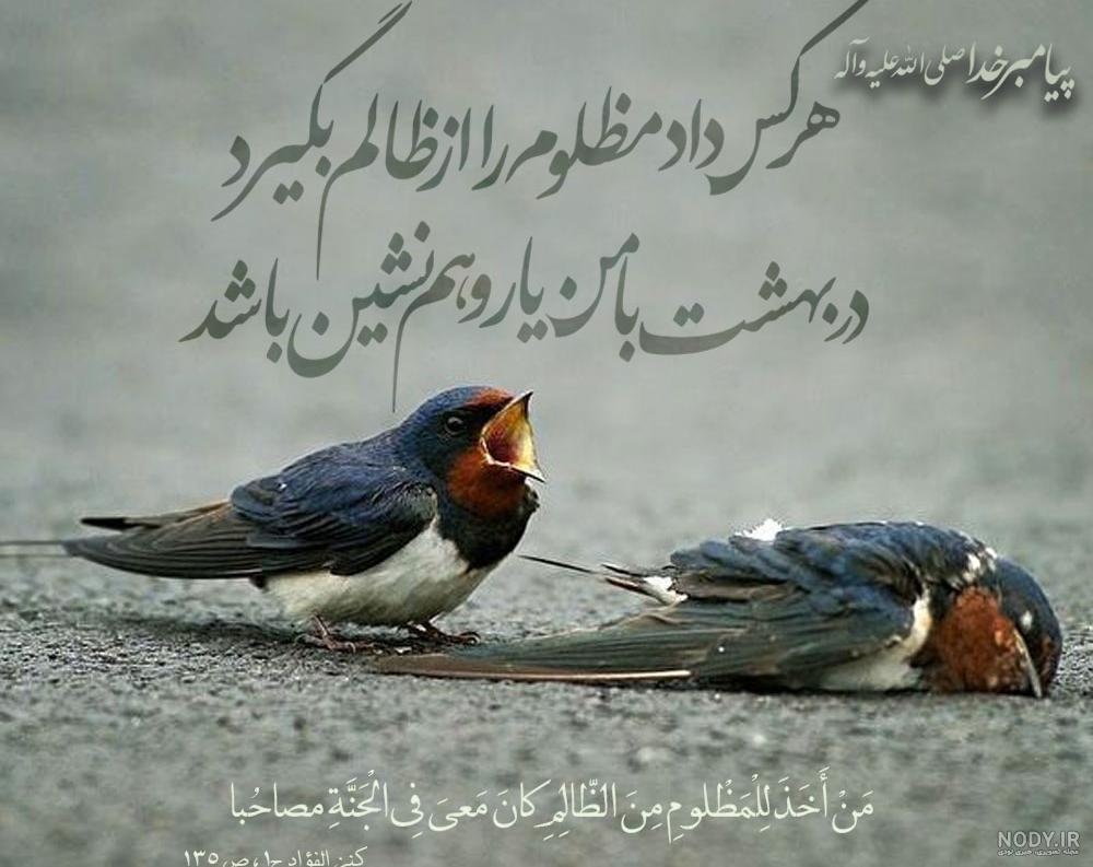 عکس حدیث پیامبر اکرم