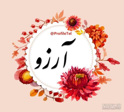 عکس رسیدن به ارزو عکس رسیدن به ارزو