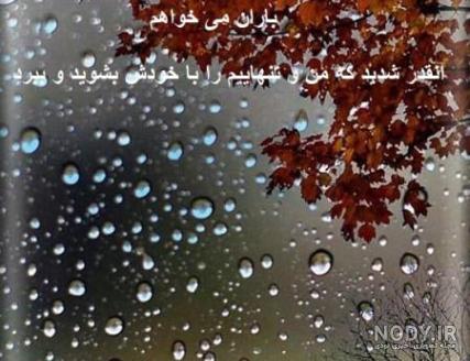 عکس زیبای بارانی عکس زیبای بارانی