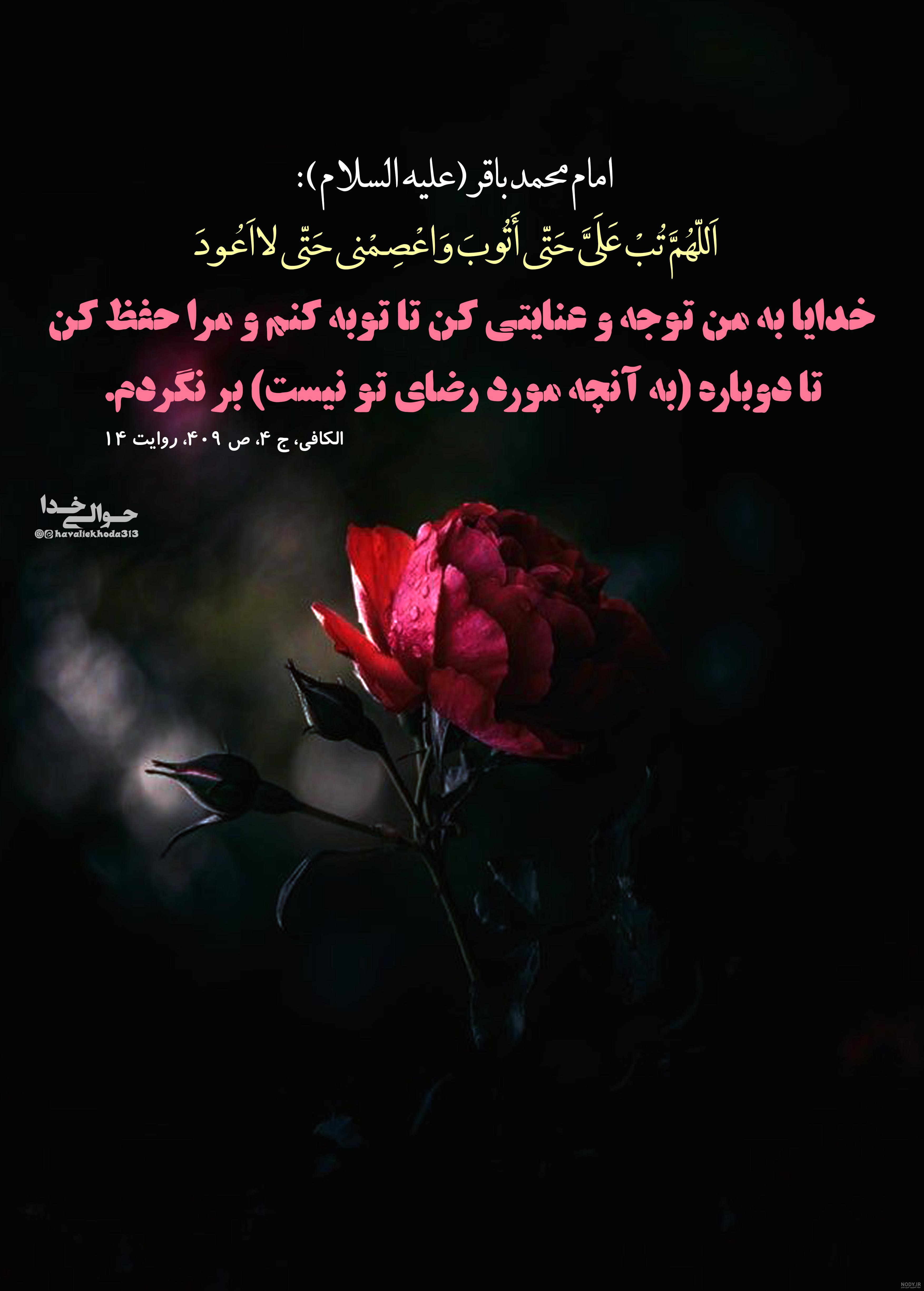 عکس نوشته احادیث امام باقر