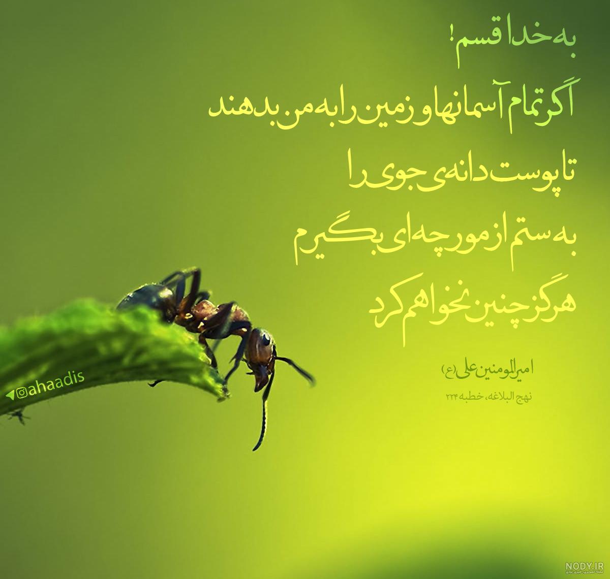 عکس نوشته حدیث در مورد ظلم