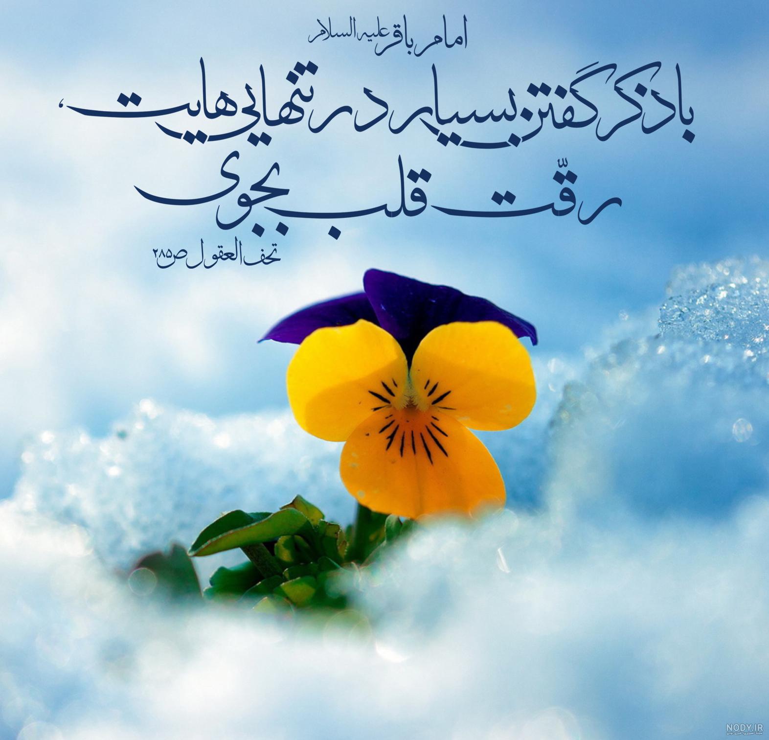 عکس نوشته سخنان امام محمد باقر