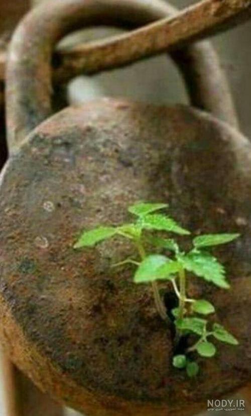 عکس نوشته غمگین دخترانه