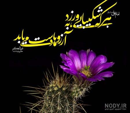 عکس نوشته ی حدیث عکس نوشته ی حدیث