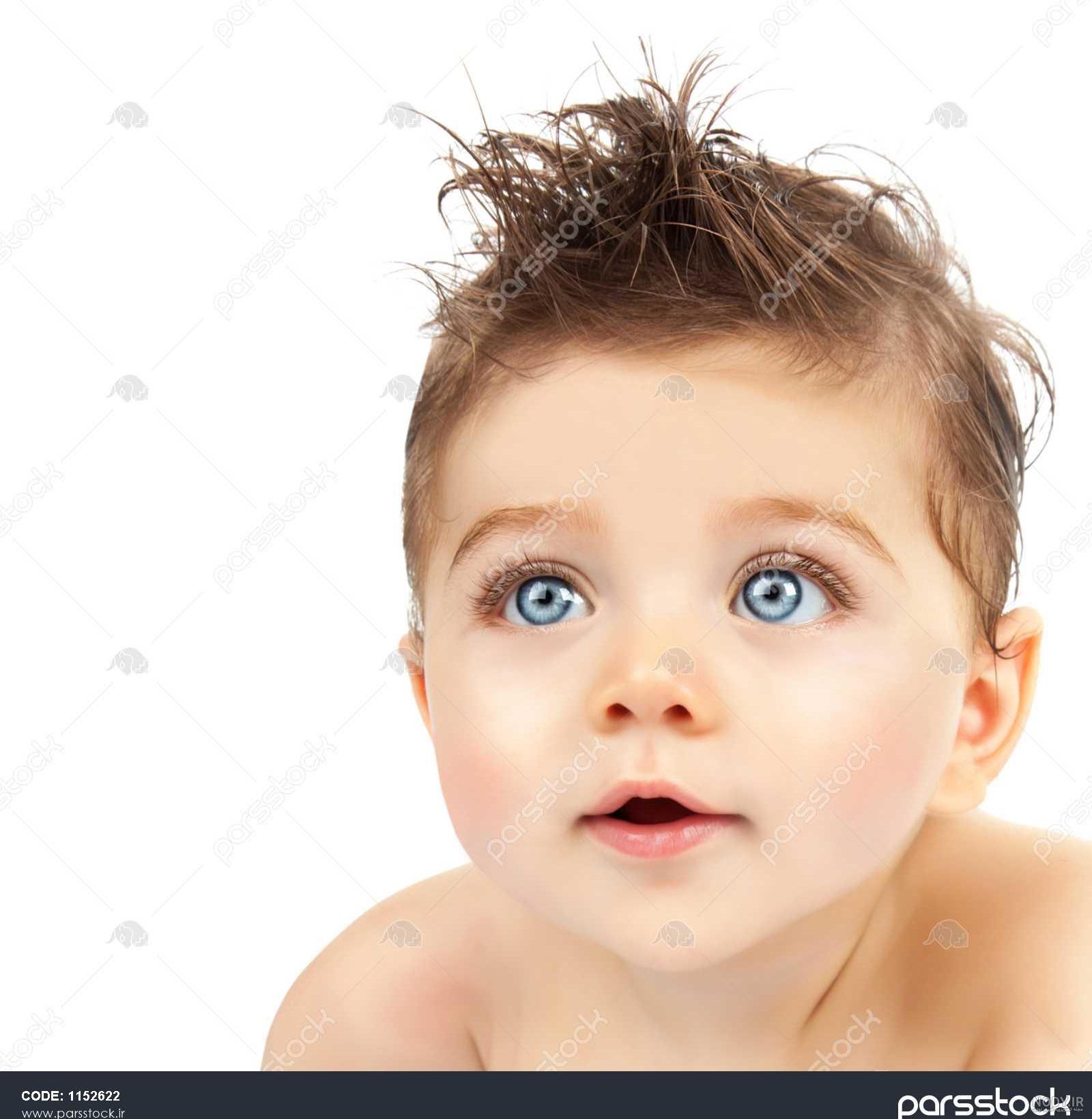عکس پرتره چیست عکس پرتره چیست