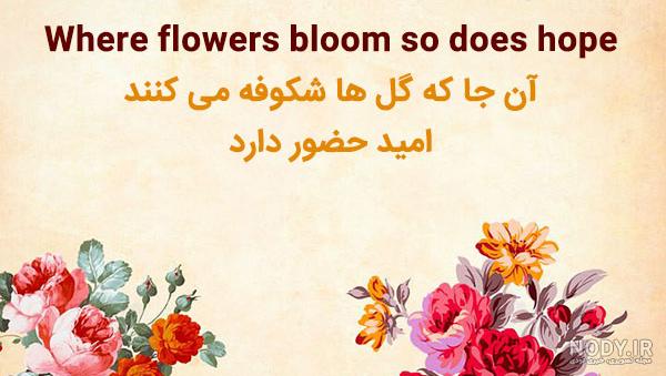 عکس پروفایل بهاری خاص