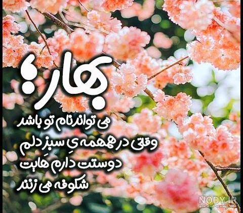 عکس پروفایل بهاری مذهبی