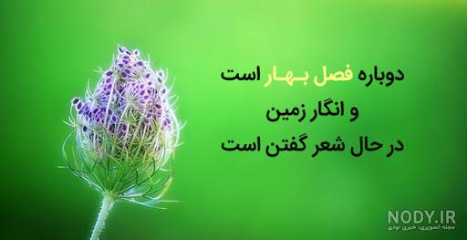متن بهار من تویی متن بهار من تویی