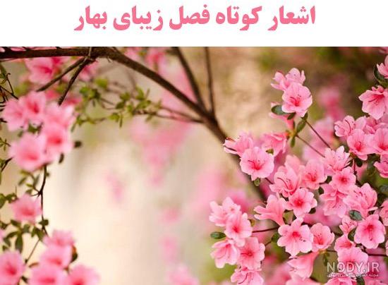 پروفایل بهاری فانتزی