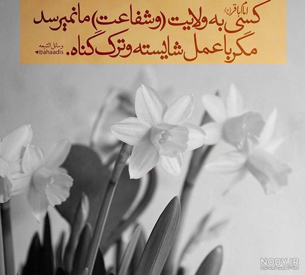 پروفایل حدیث امام محمد باقر