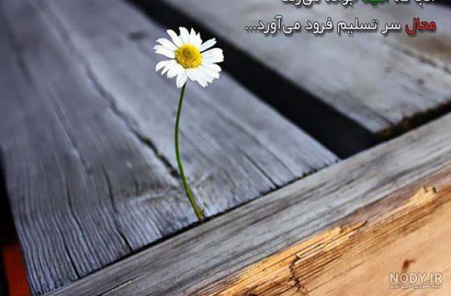 کلیپ انگیزشی امید به زندگی
