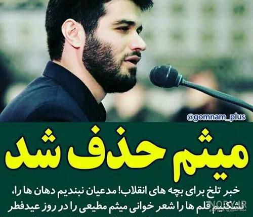 بیوگرافی میثم مطیعی