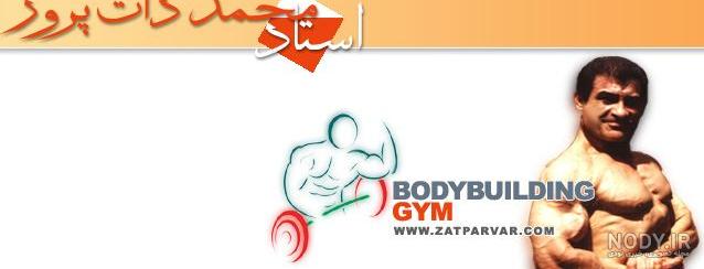 حسن مرتضوی بدنساز حسن مرتضوی بدنساز