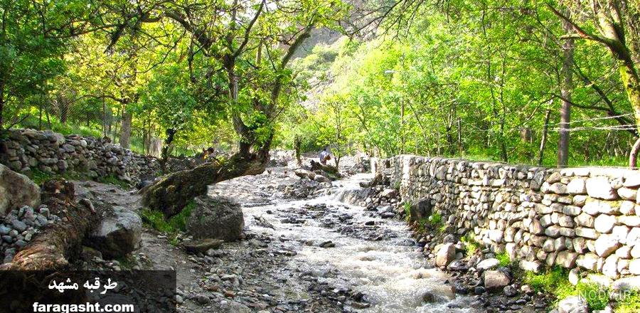 طرقبه شاندیز کجاست طرقبه شاندیز کجاست