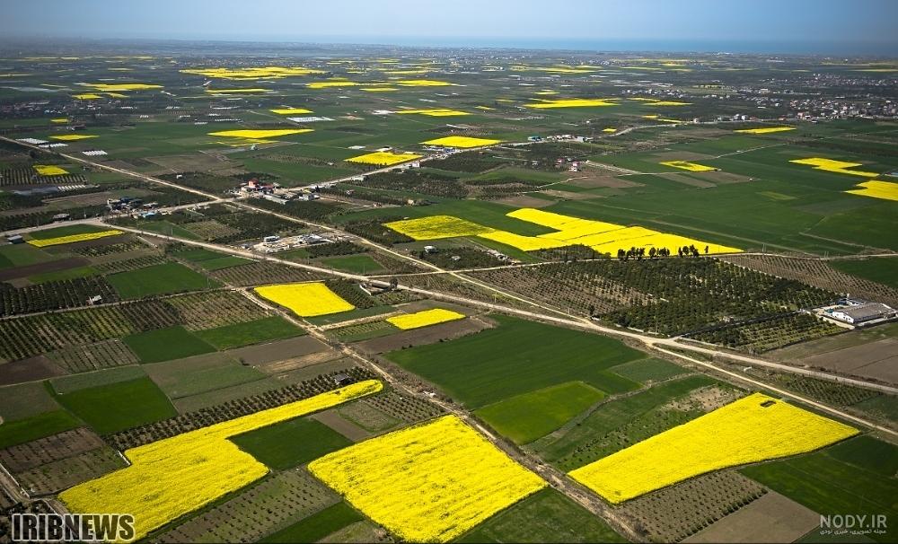 عکس طبیعت هوایی