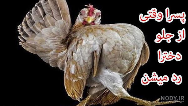 عکس های ضد پسر جدید عکس های ضد پسر جدید