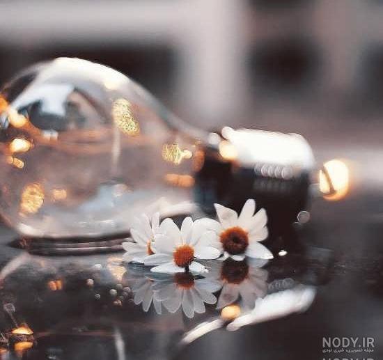 عکس خفن عکس برای استوری بدون نوشته