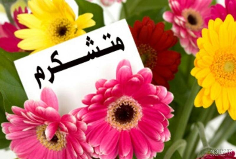استیکر نوشته واتساپ استیکر نوشته واتساپ