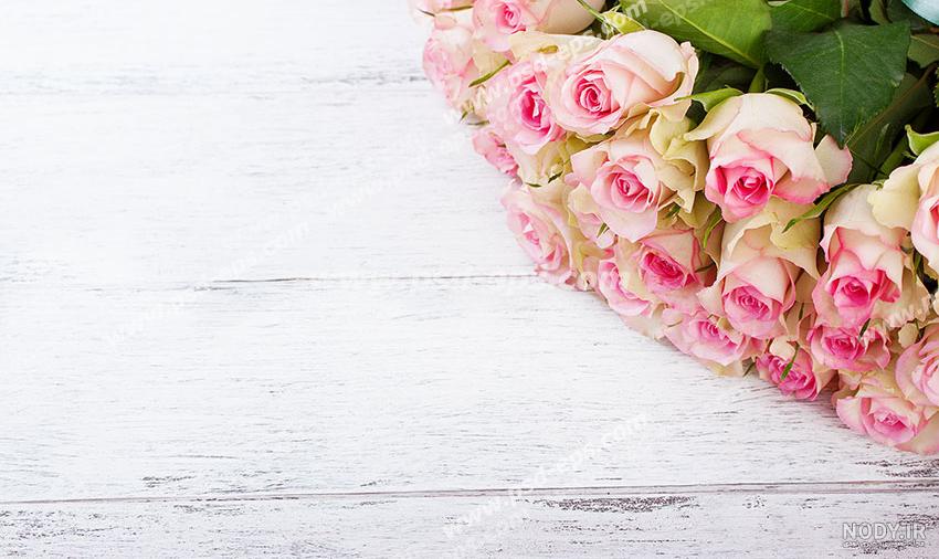 تصویر زمینه گل گلی برای گوشی تصویر زمینه گل گلی برای گوشی
