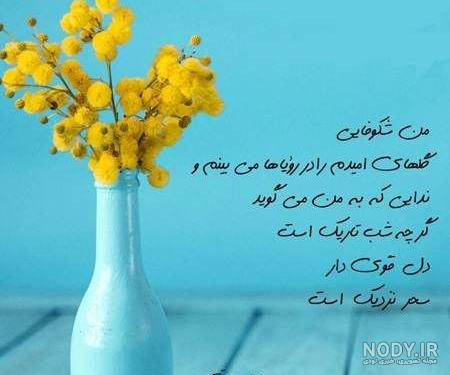 عکس برای وضعیت واتساپ دخترونه