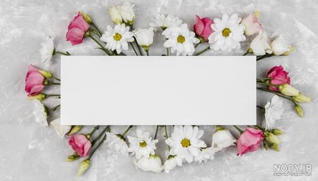 عکس حاشیه گل برای متن