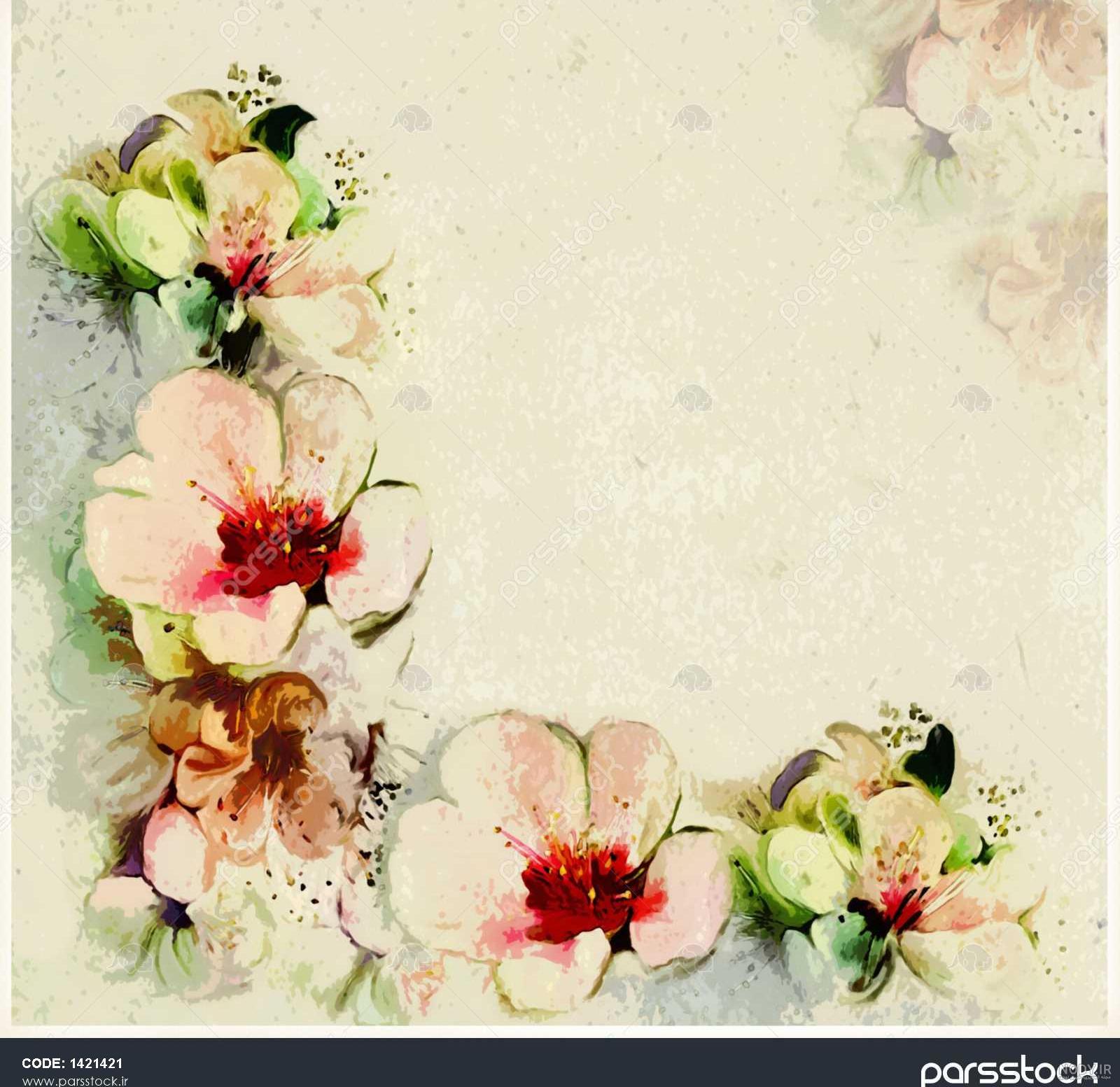 عکس سفید با حاشیه