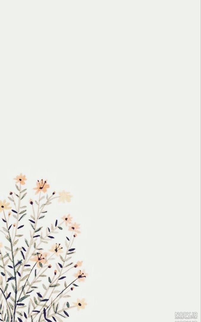 عکس سفید ساده