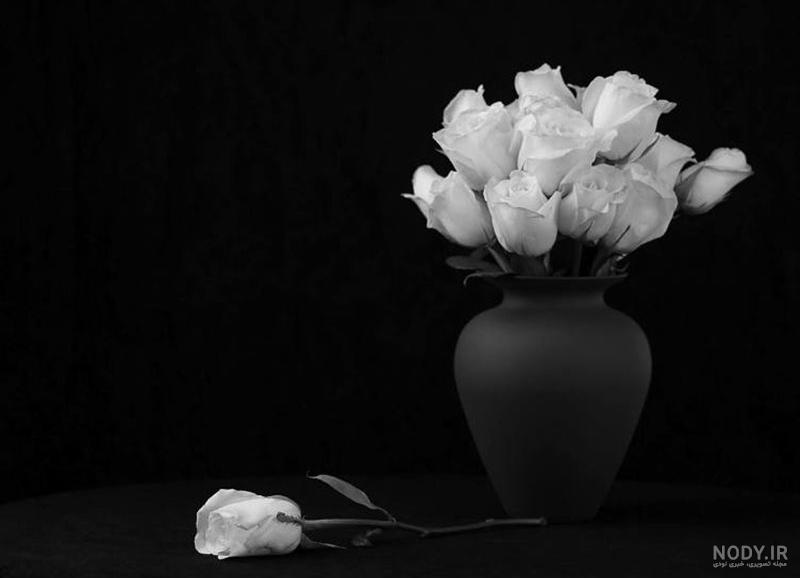 عکس صفحه سفید خالی