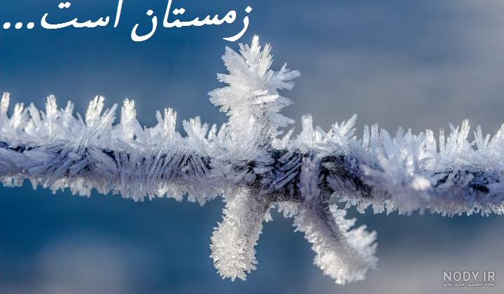 عکس پروفایل دختر در برف عکس پروفایل دختر در برف