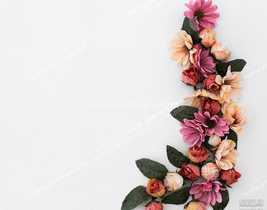 عکس گل برای تصویر زمینه گوشی سامسونگ عکس گل برای تصویر زمینه گوشی سامسونگ