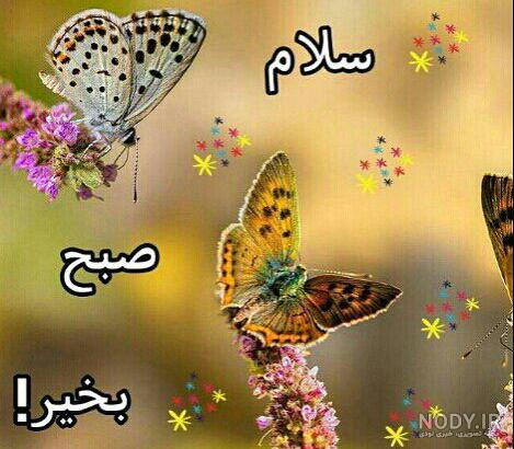 متن ظهر زیباتون بخیر متن ظهر زیباتون بخیر