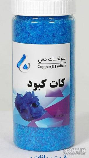 مضرات کات کبود برای درختان مضرات کات کبود برای درختان