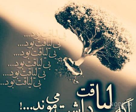 هرکسی لیاقت محبت نداره
