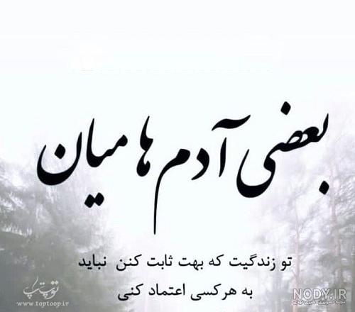 پروفایل لیاقت نداری پروفایل لیاقت نداری