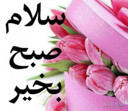 کلیپ ظهر بخیر عاشقانه کلیپ ظهر بخیر عاشقانه