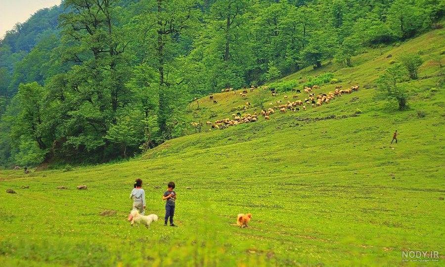 آب و هوای لفور رئیسکلا آب و هوای لفور رئیسکلا