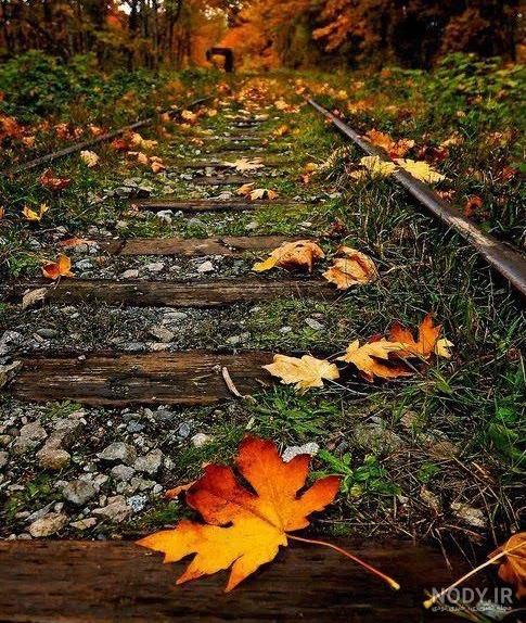 تصاویر زیبای پاییزی طبیعت
