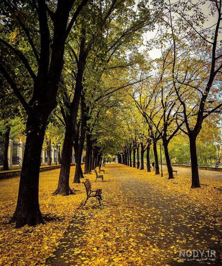 تصاویر زیبای پاییزی طبیعت