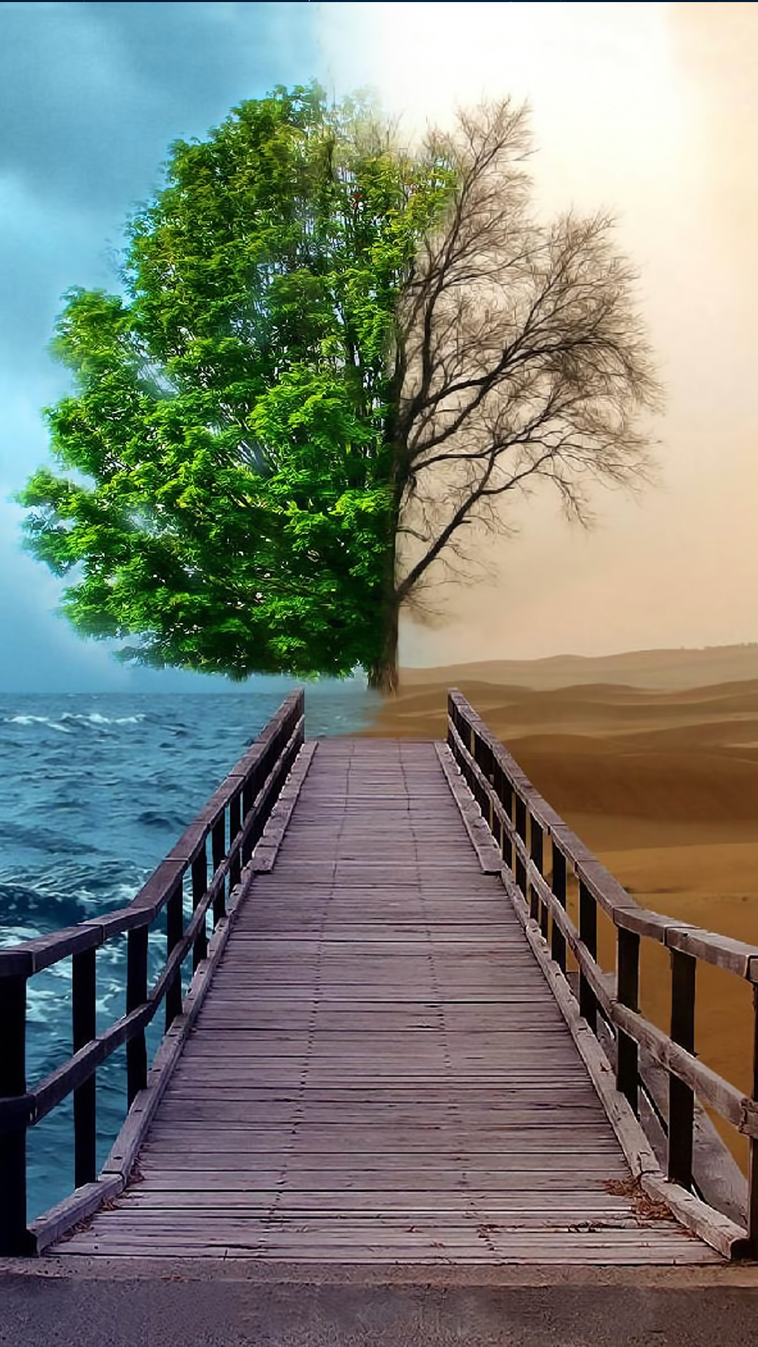 تصویر زمینه زیبا برای گوشی تصویر زمینه زیبا برای گوشی