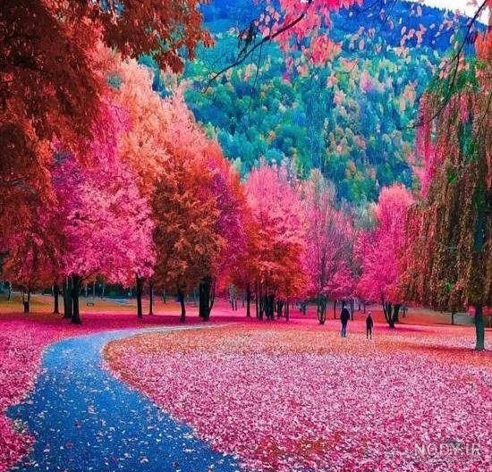تصویر زمینه سیاه تصویر زمینه سیاه