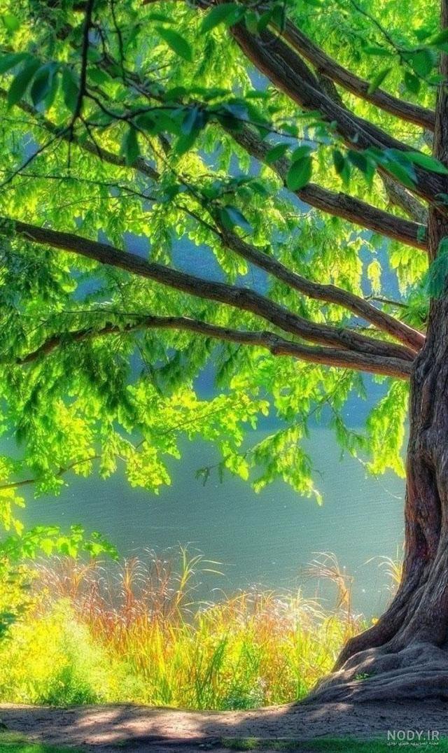 تصویر زمینه طبیعت برای گوشی تصویر زمینه طبیعت برای گوشی