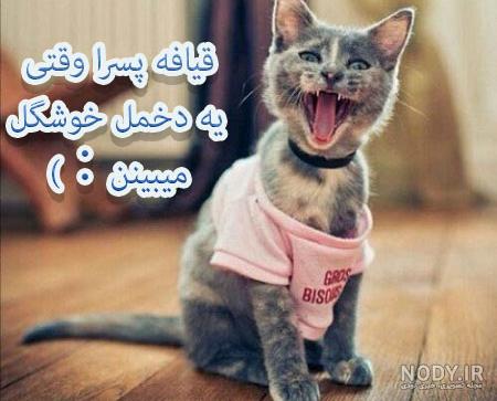 جوک ضد پسر جوک ضد پسر