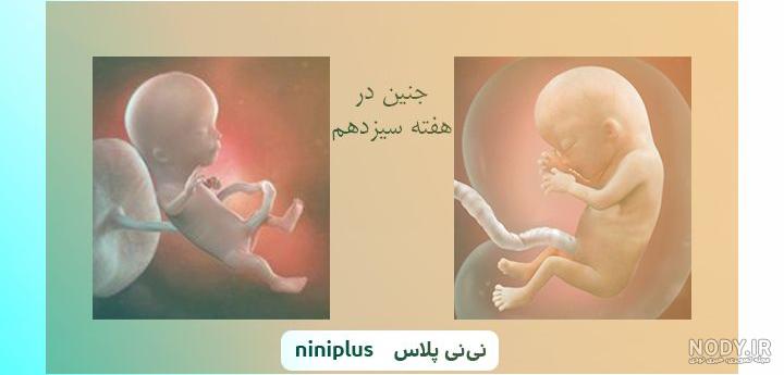 خواندن جواب آزمایش فاویسم خواندن جواب آزمایش فاویسم