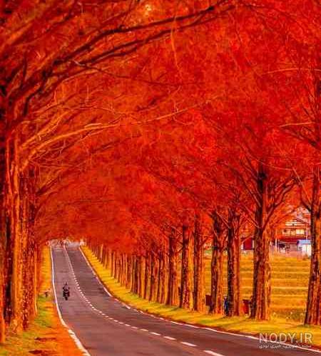 دانلود عکس طبیعت پاییزی