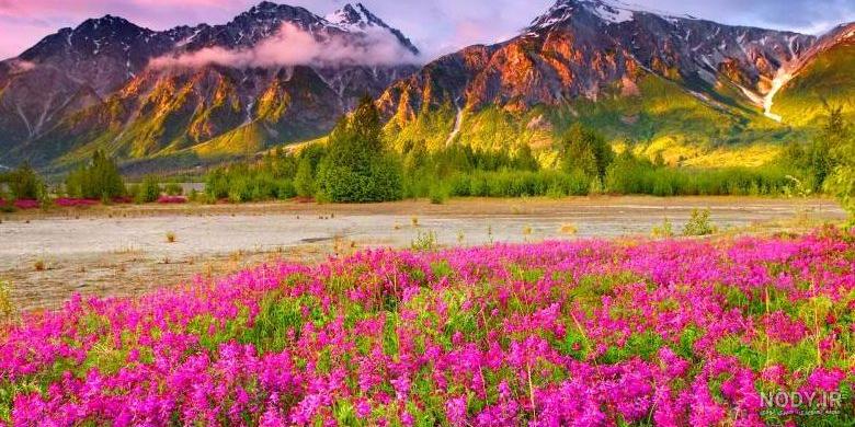 زیباترین عکسهای طبیعت ایران